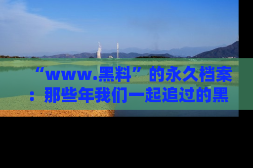 “www.黑料”的永久档案:那些年我们一起追过的黑料真相