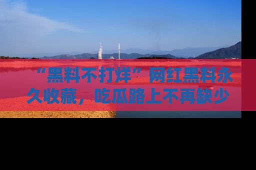 “黑料不打烊”网红黑料永久收藏,吃瓜路上不再缺少惊喜与乐趣