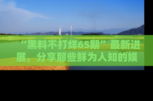 “黑料不打烊65期”最新进展,分享那些鲜为人知的娱乐八卦