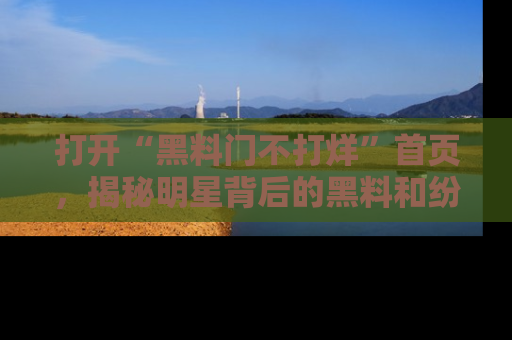 打开“黑料门不打烊”首页,揭秘明星背后的黑料和纷争真相!