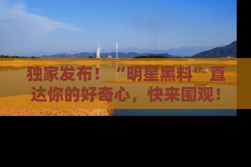 独家发布!“明星黑料”直达你的好奇心,快来围观!