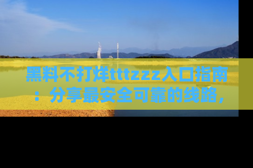 黑料不打烊tttzzz入口指南：分享最安全可靠的线路，轻松获取最新八卦！