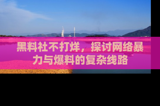 黑料社不打烊,探讨网络暴力与爆料的复杂线路