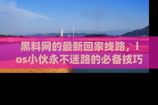 黑料网的最新回家线路，ios小伙永不迷路的必备技巧！