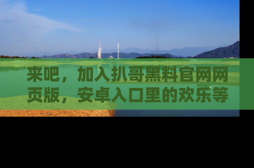 来吧，加入扒哥黑料官网网页版，安卓入口里的欢乐等着你！