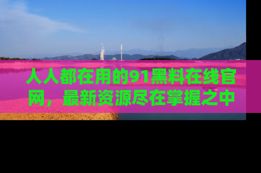 人人都在用的91黑料在线官网，最新资源尽在掌握之中