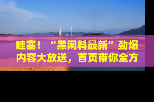 哇塞！“黑网料最新”劲爆内容大放送，首页带你全方位了解哦，小可爱们
