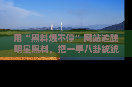 用“黑料爆不停”网站追踪明星黑料,把一手八卦统统收进你的后宫中!