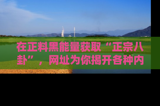 在正料黑能量获取“正宗八卦”,网址为你揭开各种内幕故事!