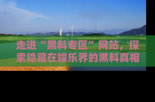 走进“黑料专区”网站,探索隐藏在娱乐界的黑料真相