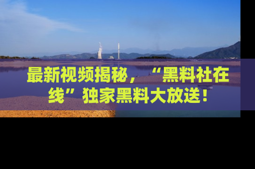 最新视频揭秘,“黑料社在线”独家黑料大放送!